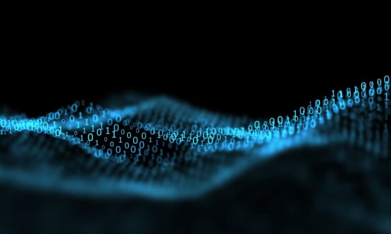 金口河区软件开发公司：Bash脚本在大规模软件开发中的适配性剖析