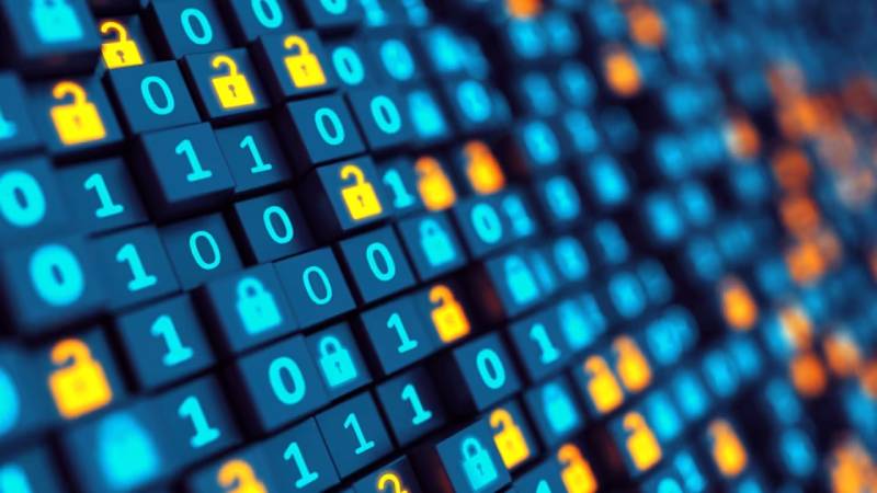 金口河区软件开发:以硬核实力,筑工业数字基石